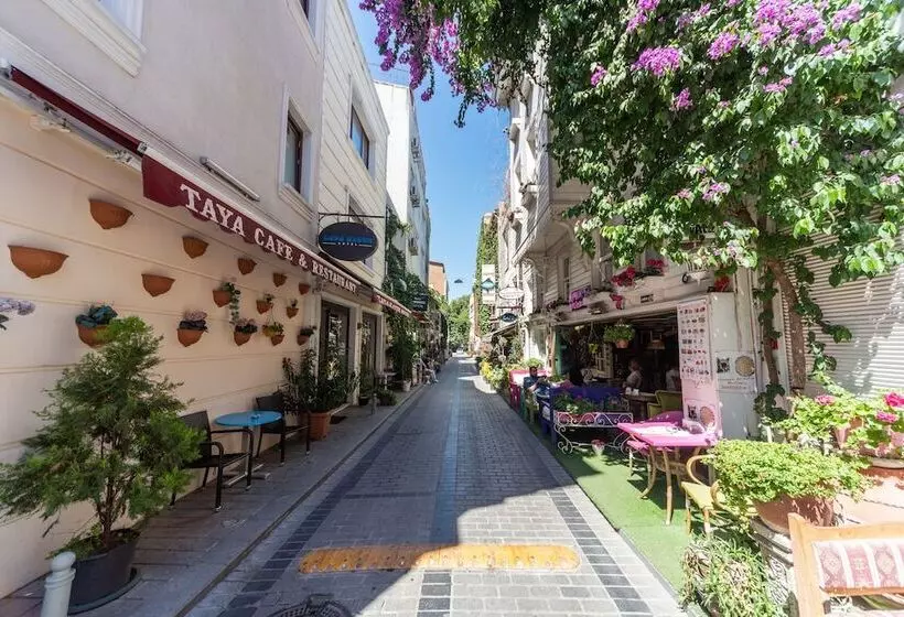 Fotos del hotel Tayahatun:  17