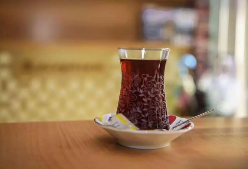 Fotos del hotel Tayahatun:  24