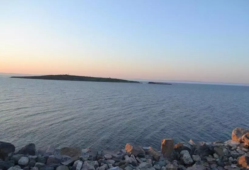 Fotos del hotel Diamanti:  4