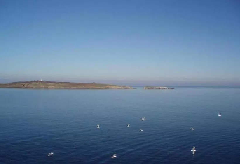 Fotos del hotel Diamanti:  9