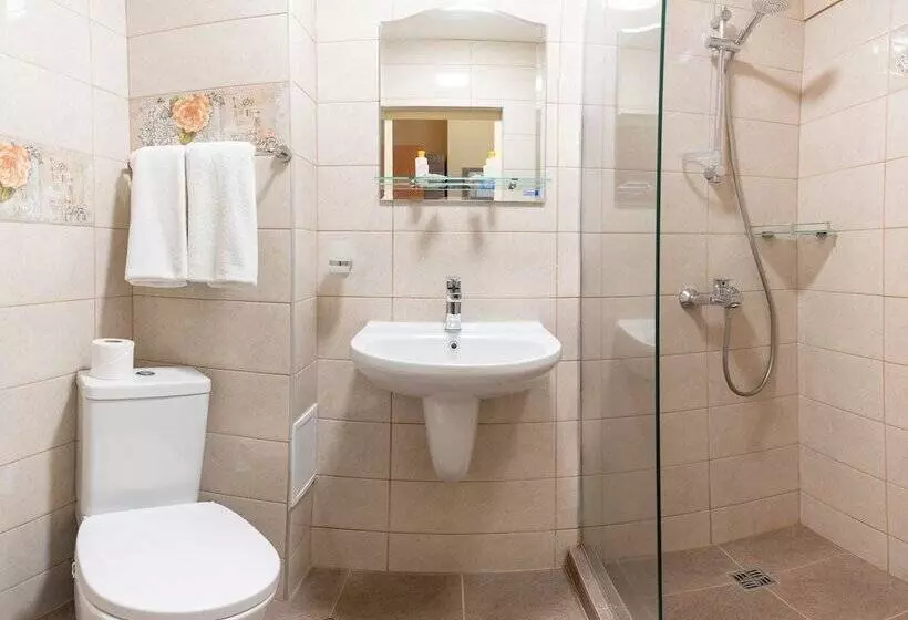 Fotos del hotel Victoria:  6