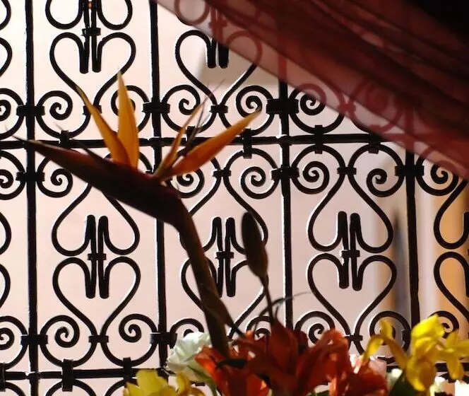 Fotos del hotel Dar Tasnime:  15