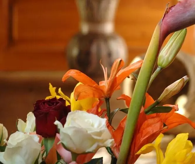 Fotos del hotel Dar Tasnime:  7