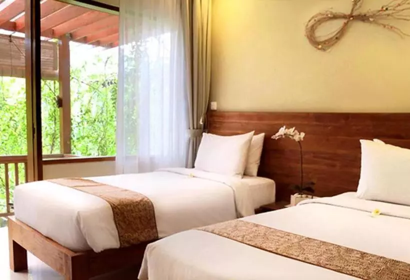 Fotos del hotel Arana Suite:  13