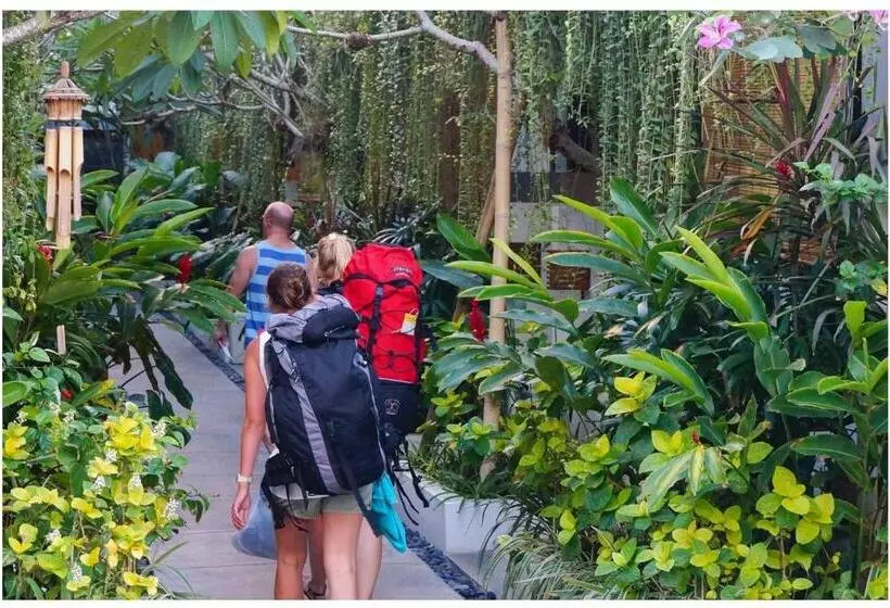 Fotos del hotel Arana Suite:  6