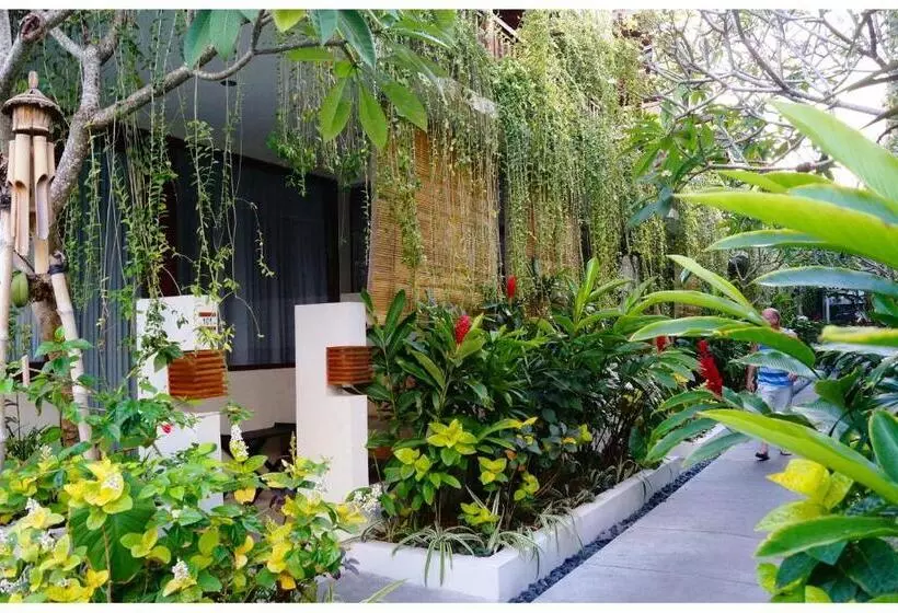 Fotos del hotel Arana Suite:  7