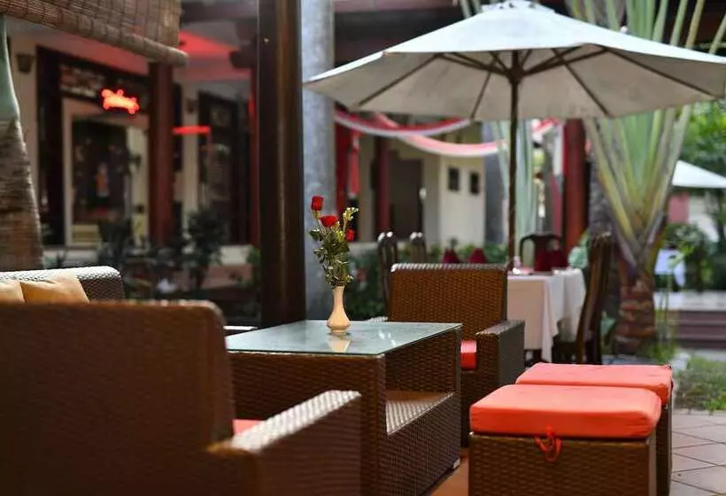 Fotos del hotel Bach Dang Hoi An:  20