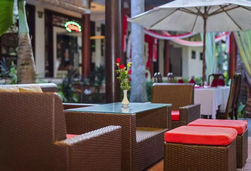 Fotos del hotel Bach Dang Hoi An:  13