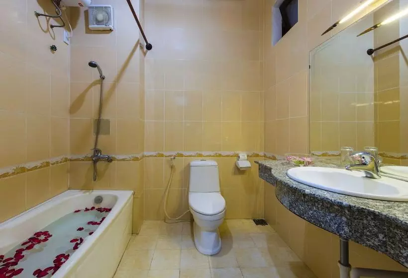 Fotos del hotel Bach Dang Hoi An:  6