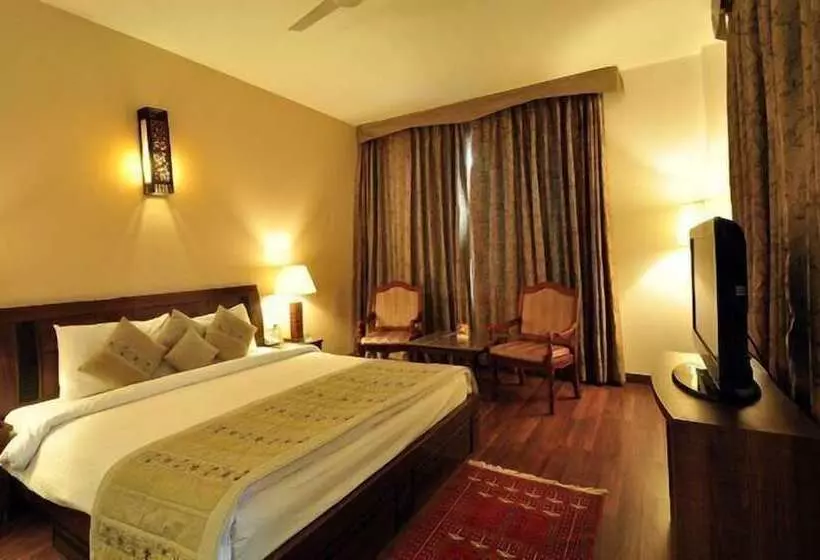 Fotos del hotel Comfort Inn Alstonia:  21