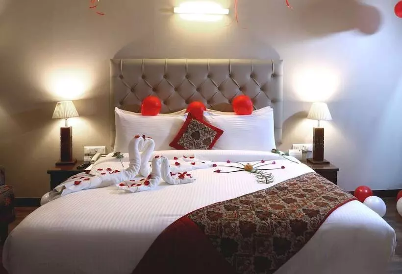 Fotos del hotel Comfort Inn Alstonia:  12