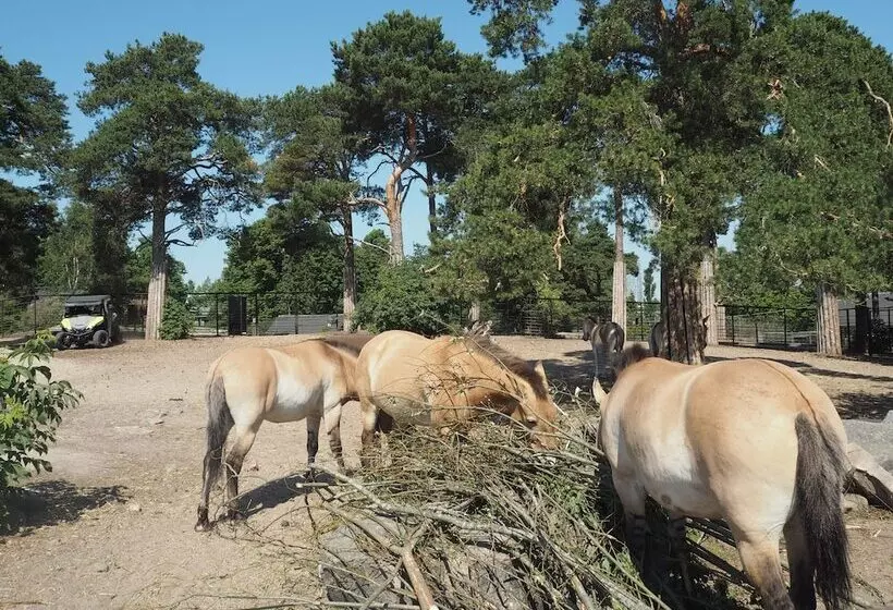 Fotos del hotel Omena Hotel Helsinki Lönnrotinkatu:  20
