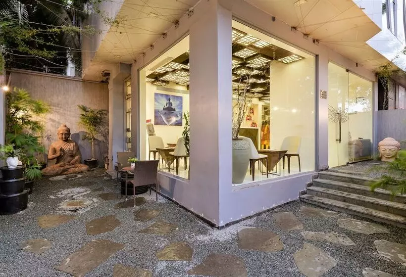 Fotos del hotel Dragonfly  The Art:  5