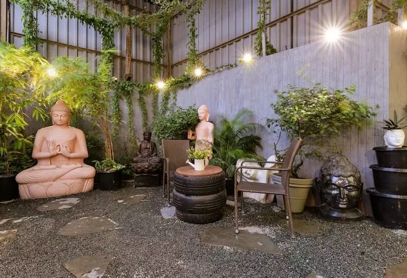 Fotos del hotel Dragonfly  The Art:  24