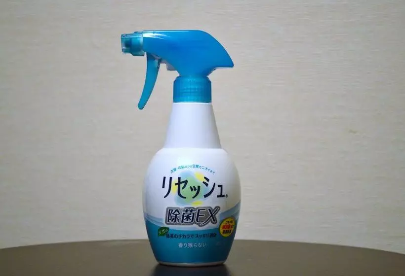 Fotos del hotel Dormy Inn Express Hakodate Goryokaku:  24