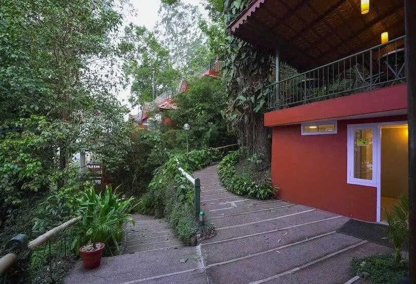 Fotos del hotel Tea Valley Resort:  16