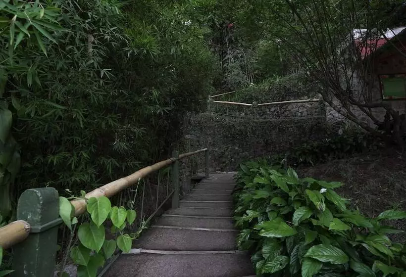 Fotos del hotel Tea Valley Resort:  2