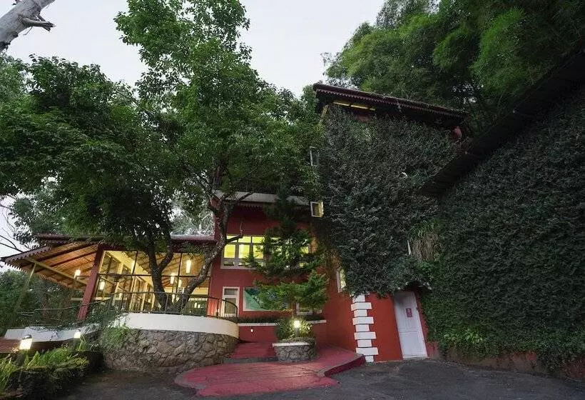 Fotos del hotel Tea Valley Resort:  9