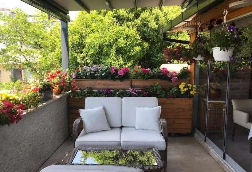 Fotos del hotel Dilhayat Kalfa:  19