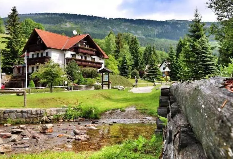 Fotos del hotel Martin:  25