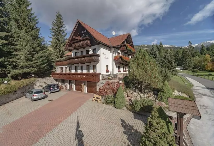 Fotos del hotel Martin:  24