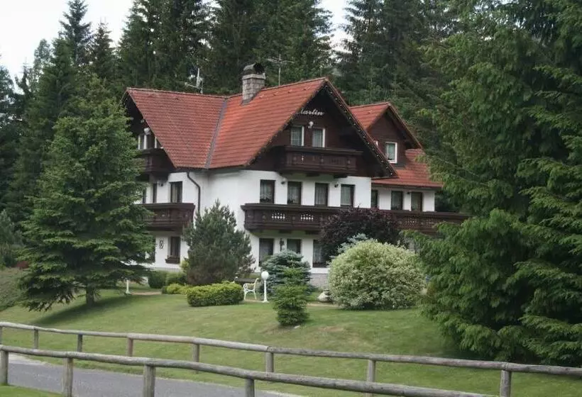 Fotos del hotel Martin:  4