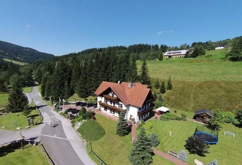 Fotos del hotel Martin:  9