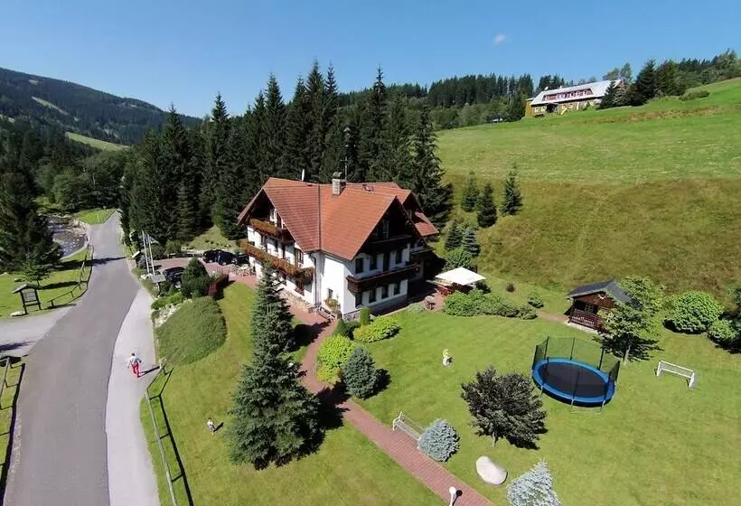 Fotos del hotel Martin:  10