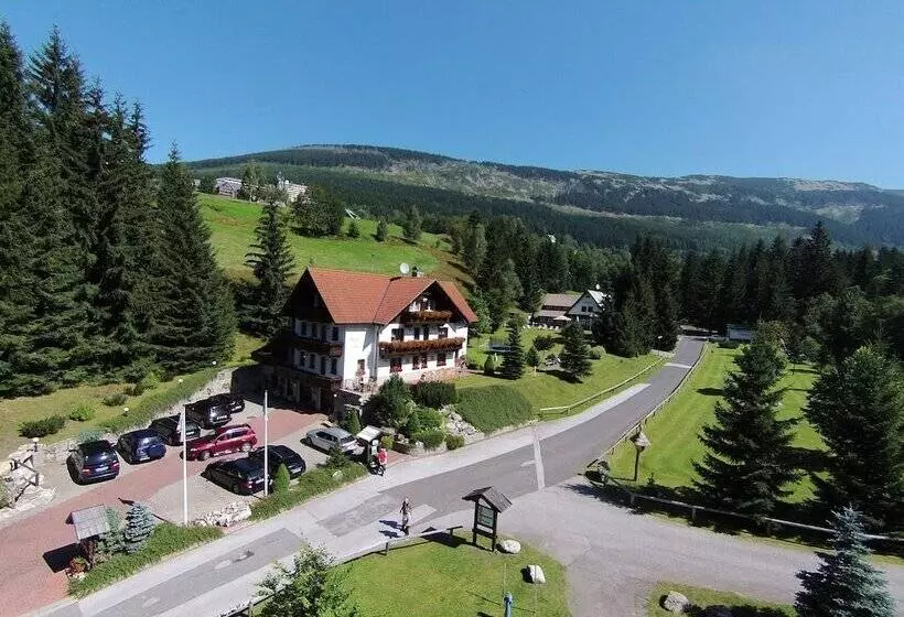 Fotos del hotel Martin:  15