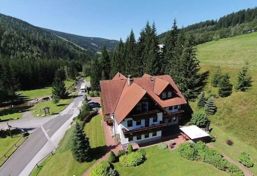 Fotos del hotel Martin:  16