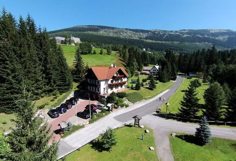 Fotos del hotel Martin:  22