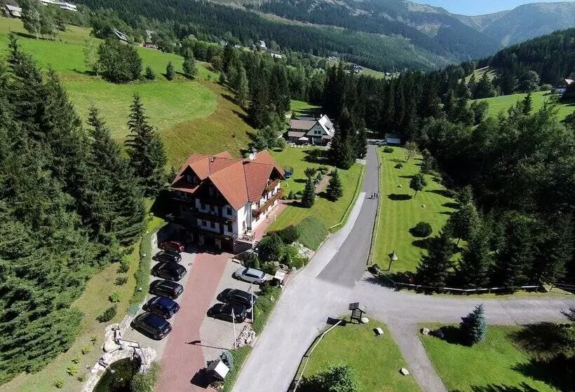 Fotos del hotel Martin:  11