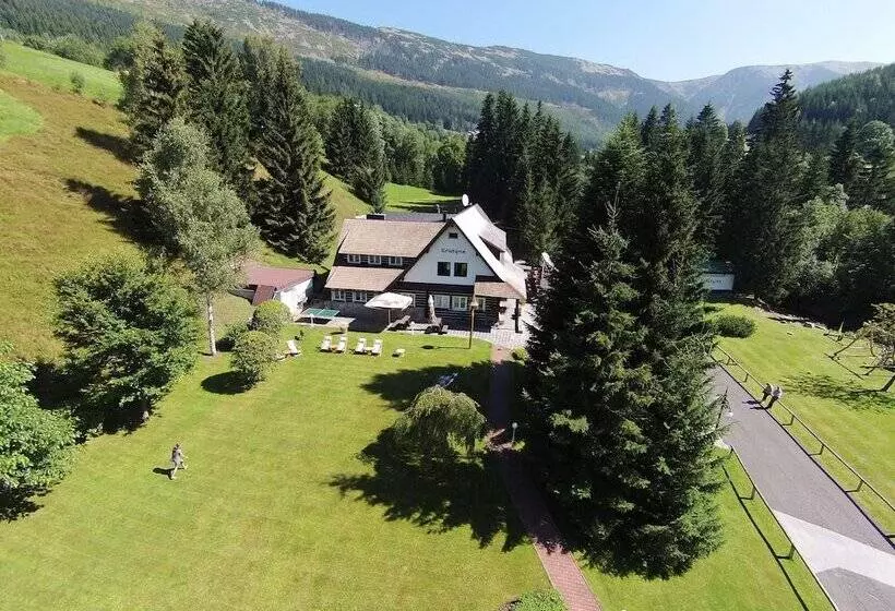 Fotos del hotel Martin:  23