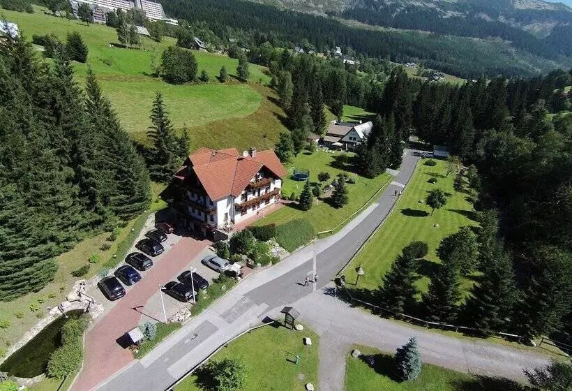 Fotos del hotel Martin:  18