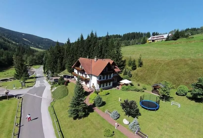 Fotos del hotel Martin:  6