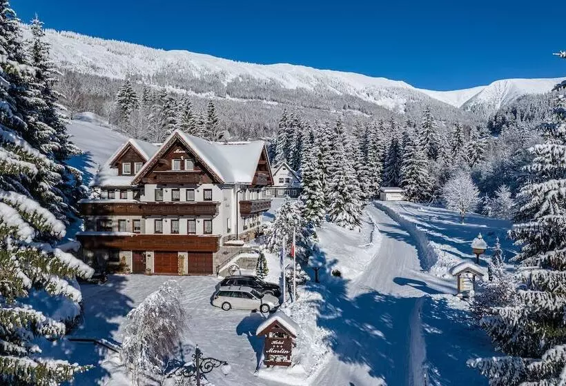 Fotos del hotel Martin:  21