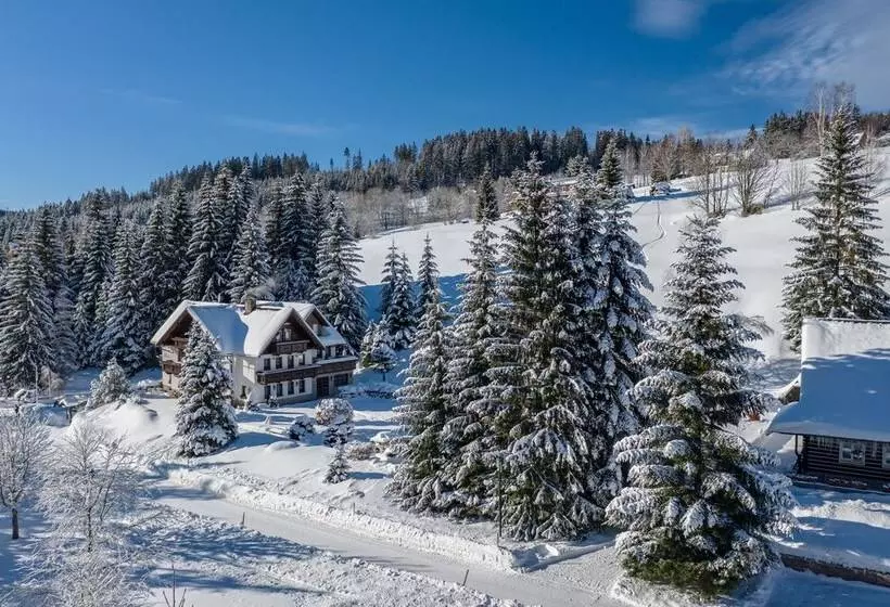 Fotos del hotel Martin:  20