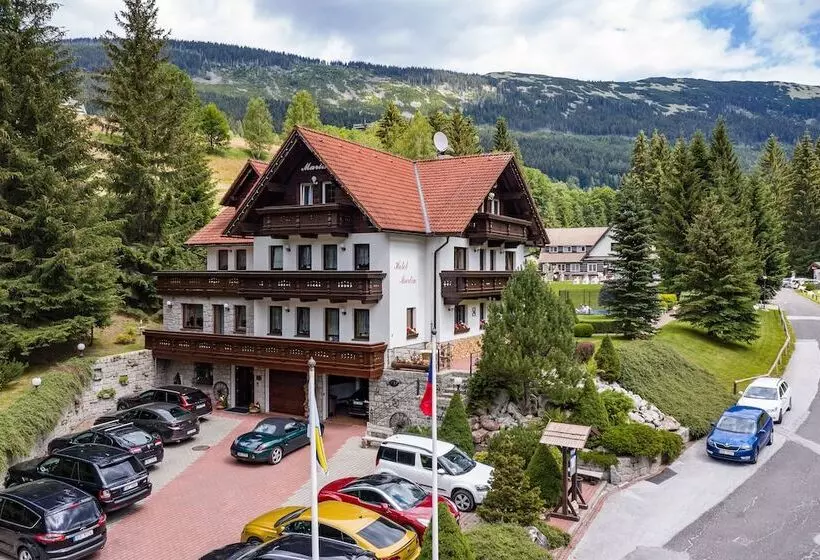 Fotos del hotel Martin:  5