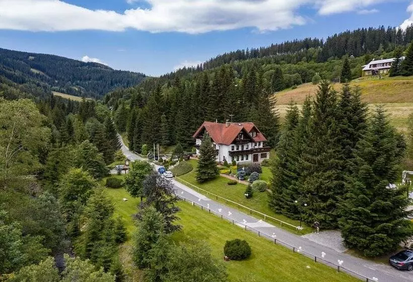 Fotos del hotel Martin:  14