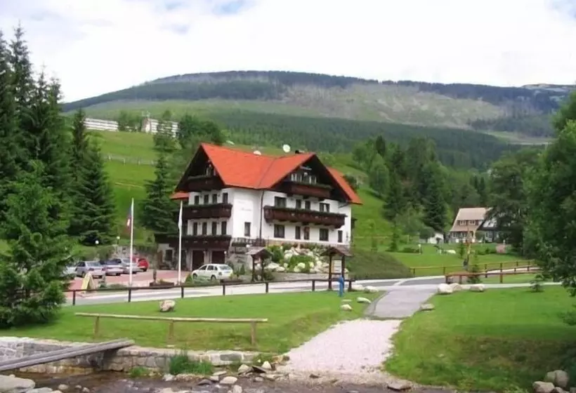 Fotos del hotel Martin:  7