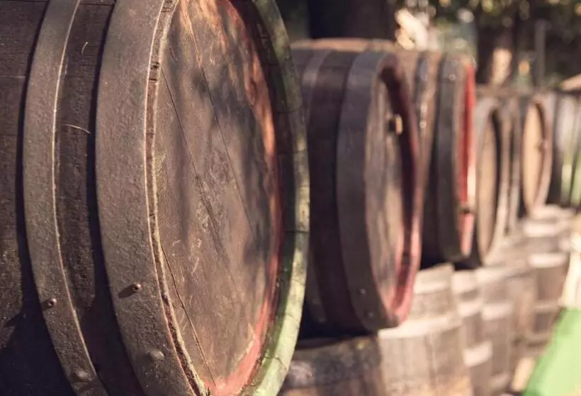 Fotos del hotel St.michael:  8