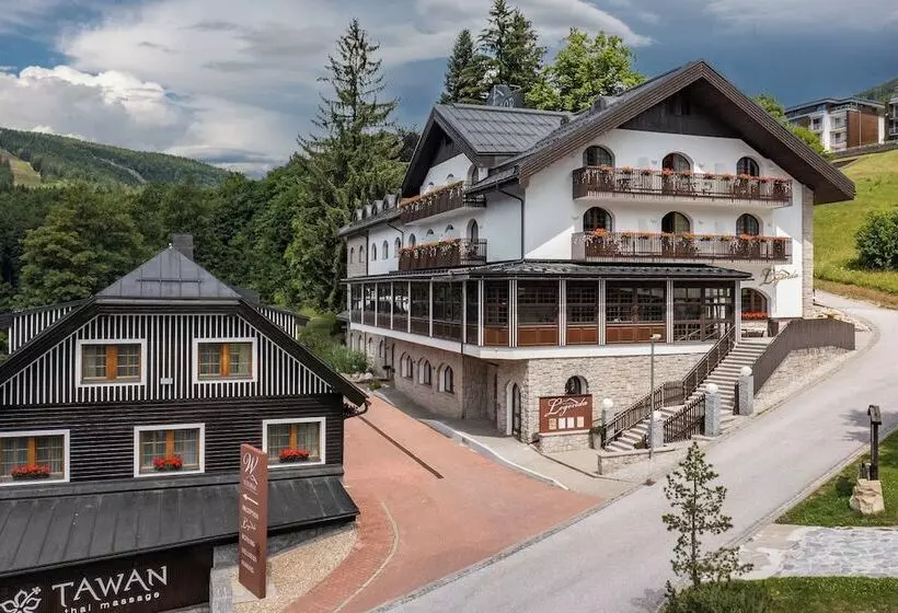 Fotos del hotel Wellness Hotel Windsor:  17