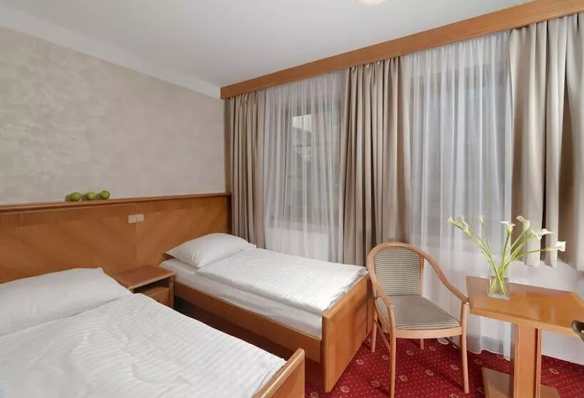 Fotos del hotel Wellness Hotel Windsor:  21