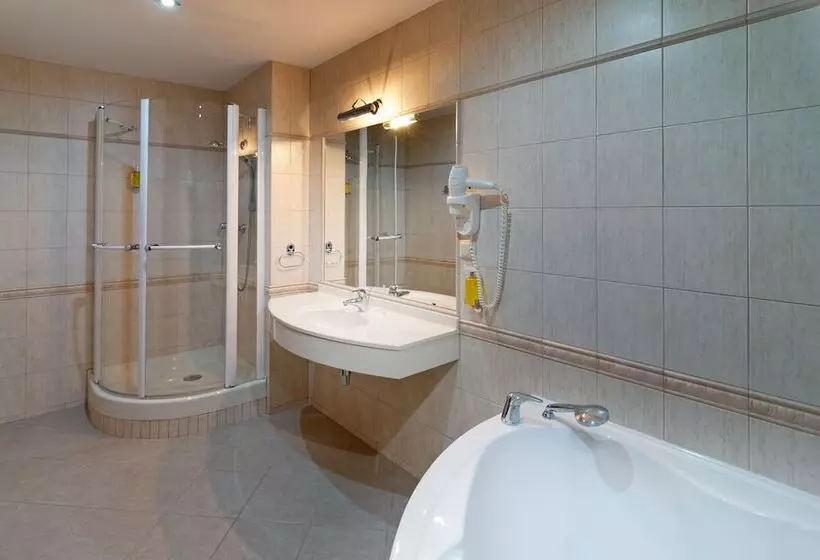 Fotos del hotel Wellness Hotel Windsor:  15