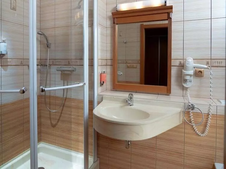 Fotos del hotel Wellness Hotel Windsor:  19