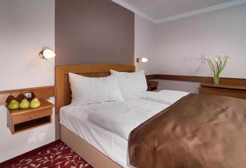 Fotos del hotel Wellness Hotel Windsor:  18