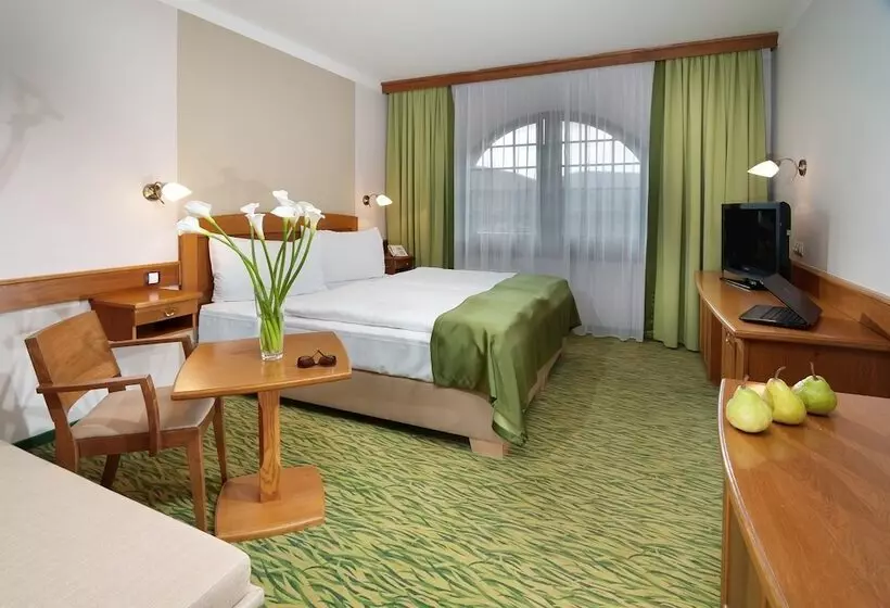 Fotos del hotel Wellness Hotel Windsor:  2