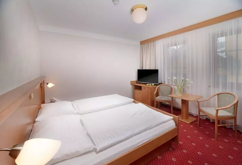 Fotos del hotel Wellness Hotel Windsor:  23