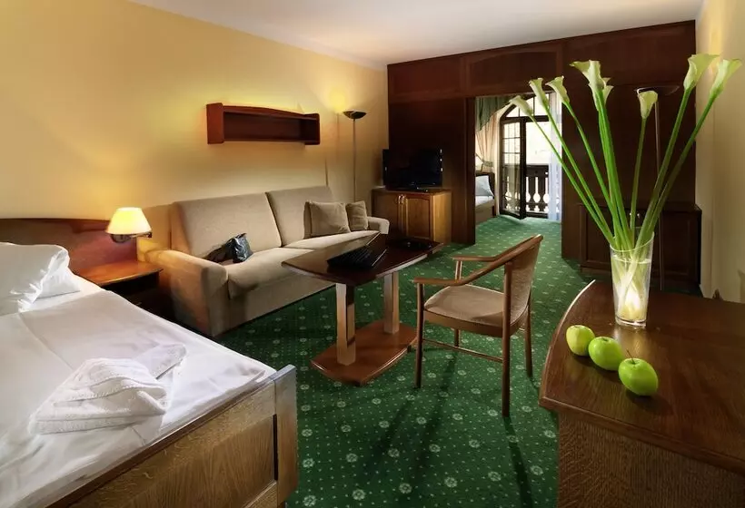 Fotos del hotel Wellness Hotel Windsor:  22