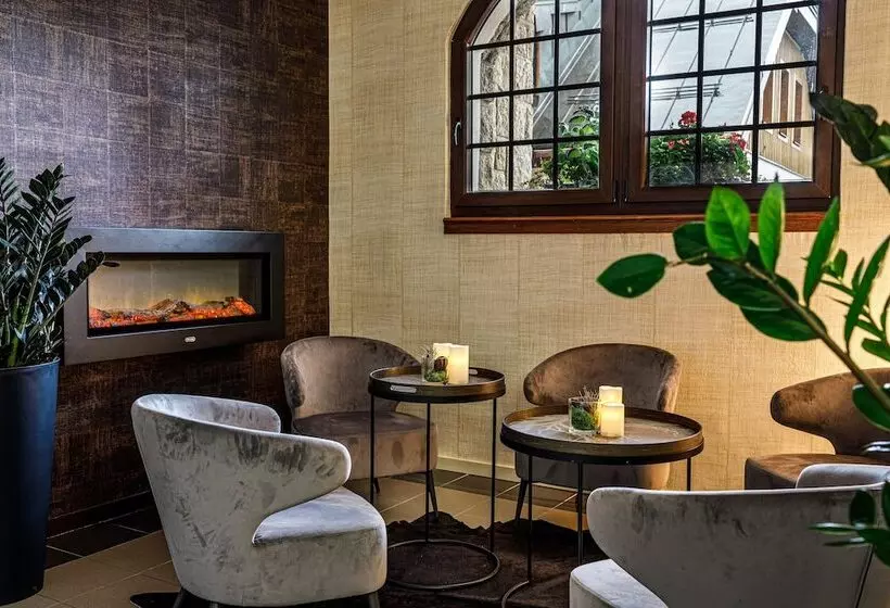 Fotos del hotel Wellness Hotel Windsor:  4